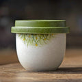 Hand-Painted Daisy Ceramic Tea & Coffee Collection - StillMug